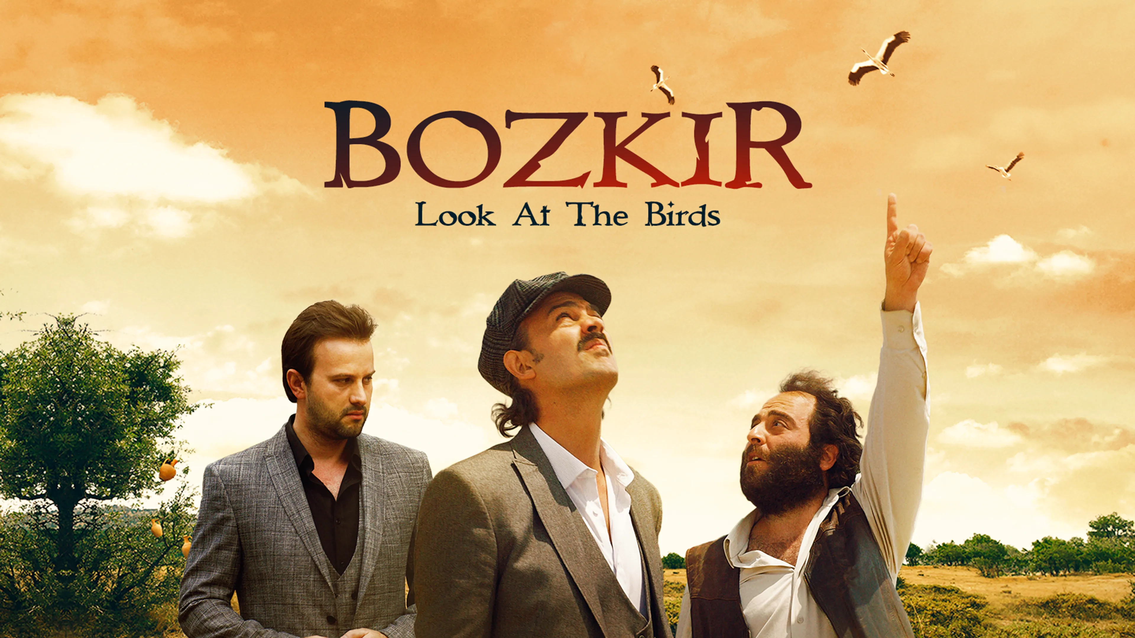 Bozkir: Look At The Birds poster